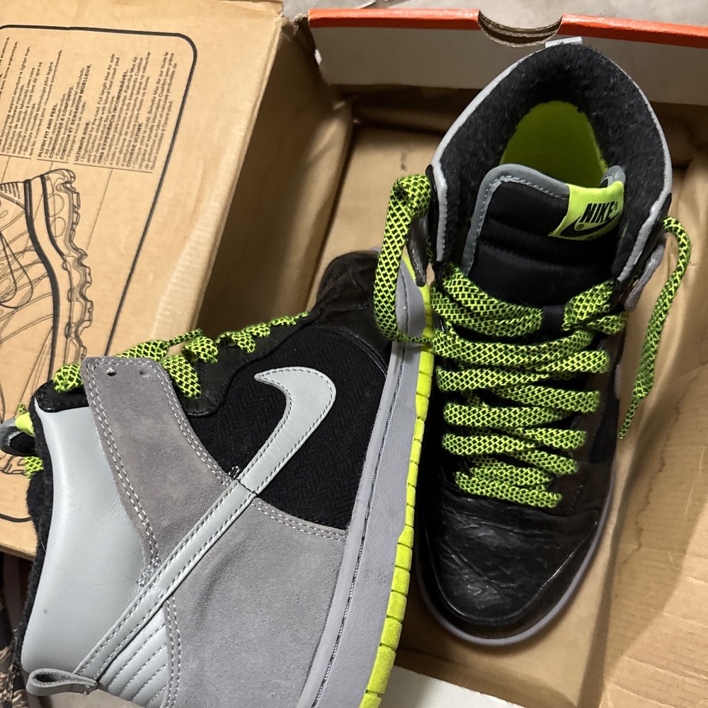 Nike dunks size 10